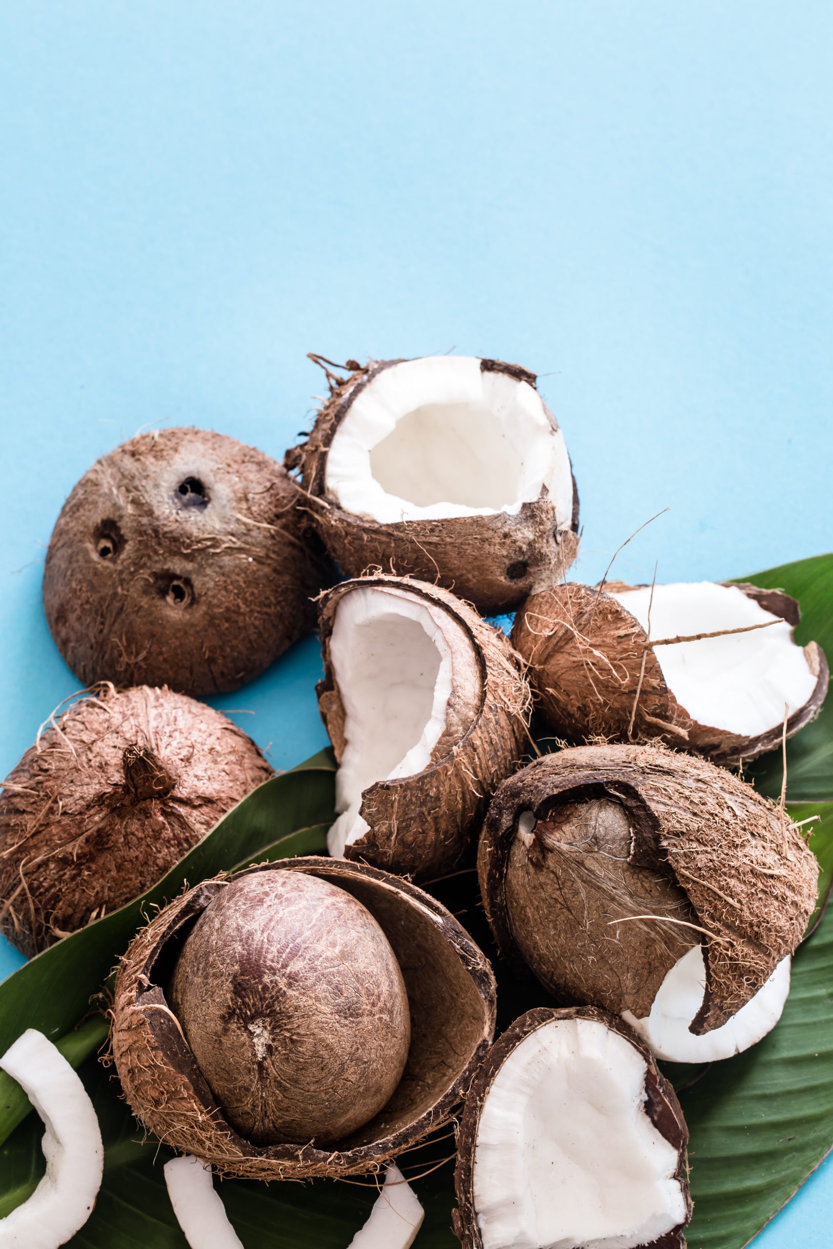coconut shell with coconut meat